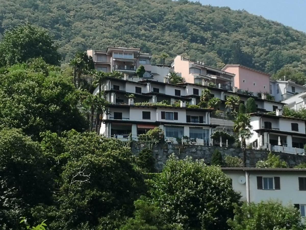 Brilago 1 Brissago Dış mekan fotoğraf